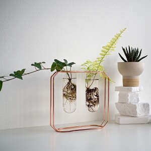 [퍼퓨머리하우스] 수경재배 화병 테라리움 꽃 식물 장식 유리관